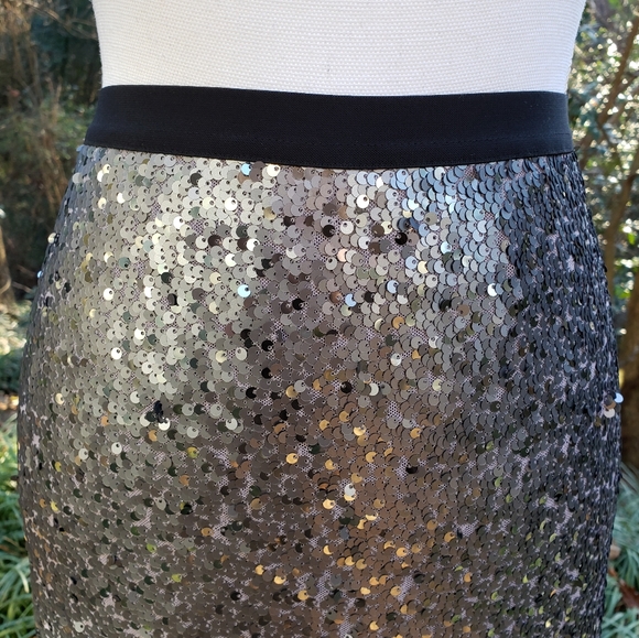 NIC+ZOE Twinkle Night Silvery Sequin Skirt Size 2 New - Picture 6 of 10